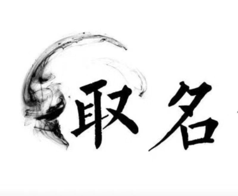  清水河宝宝取名 大师一对一人工起名